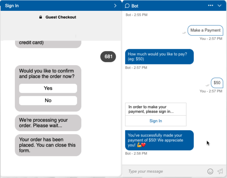 The Payment Form being displayed for the consumer in a window that slides out from the main conversation window