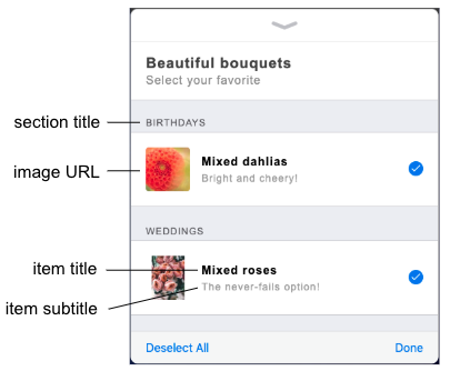 An illustration of the various parts of the sections and items in the list picker