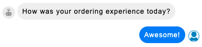 A view of the conversation after the consumer has selected one of the quick reply choices and the chips disappear